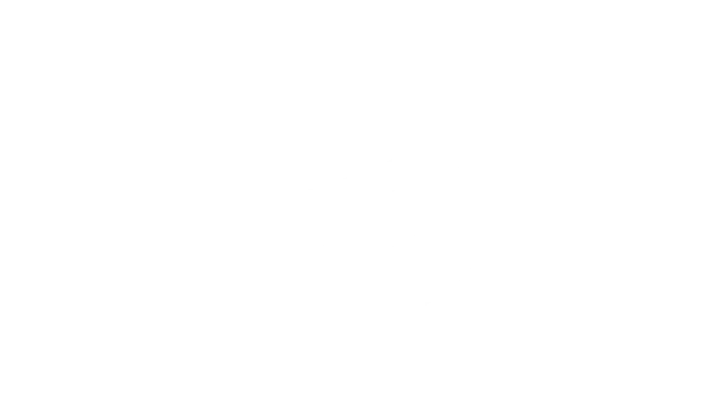 Nielsen Valuation Florida